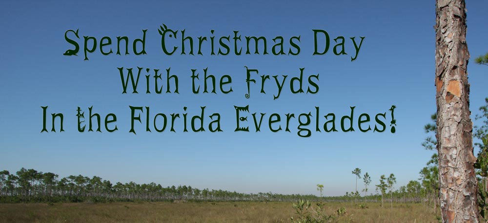 Spend Christmas Day NEAR the Fryd’s In the Florida Everglades!